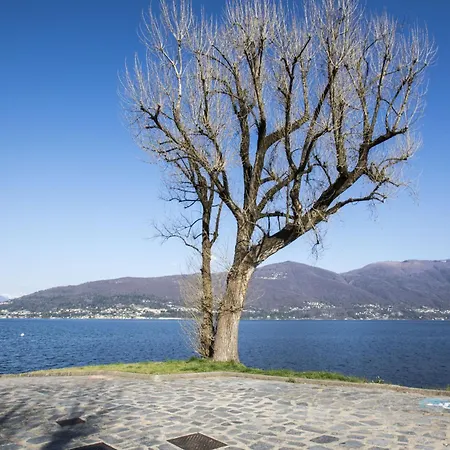 公寓 Casa Lea Castelveccana